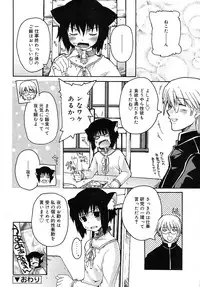 COMIC RiN 2006-05 Vol. 17