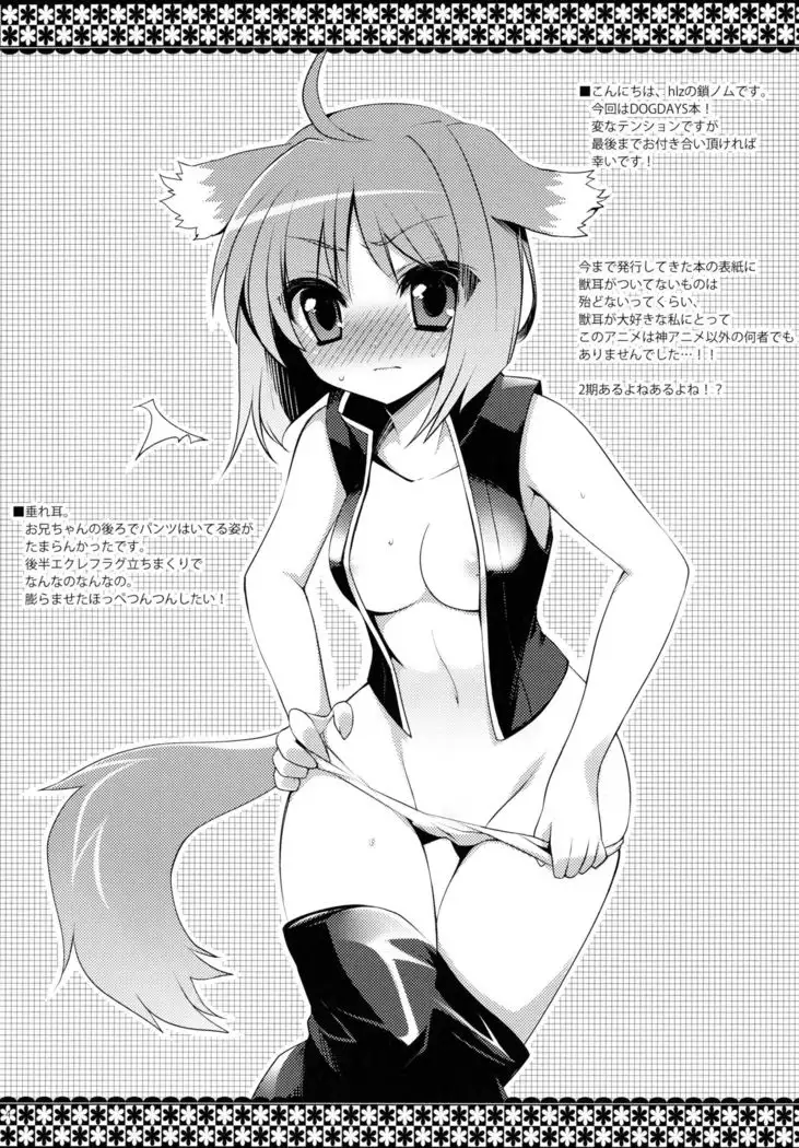 きょうのわんこ。