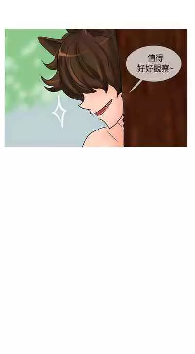 小野貓馴服手冊