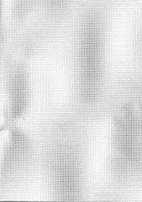 Hikouritsuteki Engage