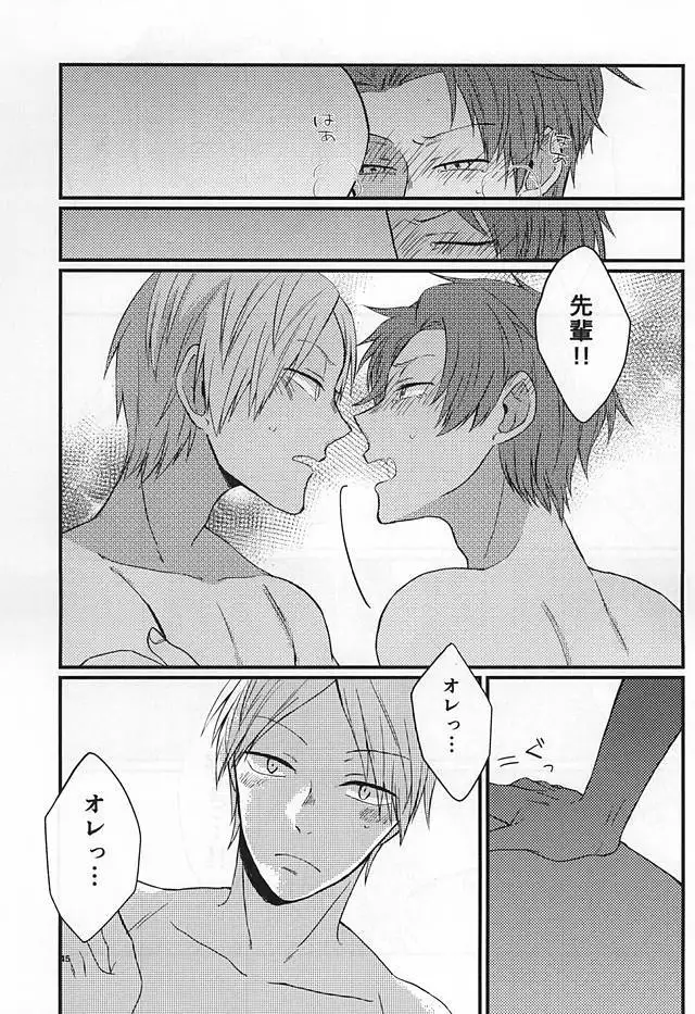 Polaris no Otoshita Namida