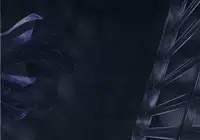 (C87) [Monaka Udon (Monikano)] Rokaku Hishokan Jinmon Chousho (Kantai Collection -KanColle-) [English] [CrowKarasu]