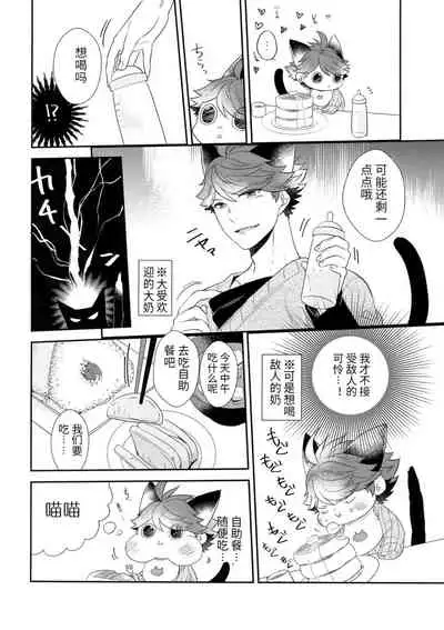 Iwa-chan no Neko ni Naritai 6 | 我想成为小岩的猫6