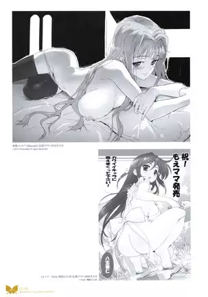 八宝備仁画集 紅蝶(ほてり)