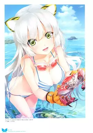 八宝備仁画集 紅蝶(ほてり)