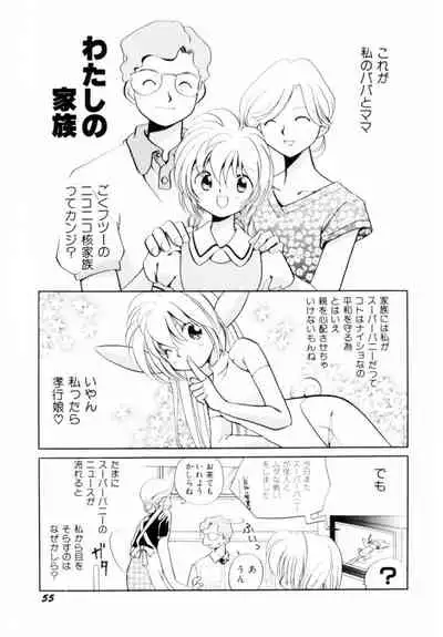 [Hikaru Nagareboshi] Seigi No Mikata Mo Raku Zya Nai