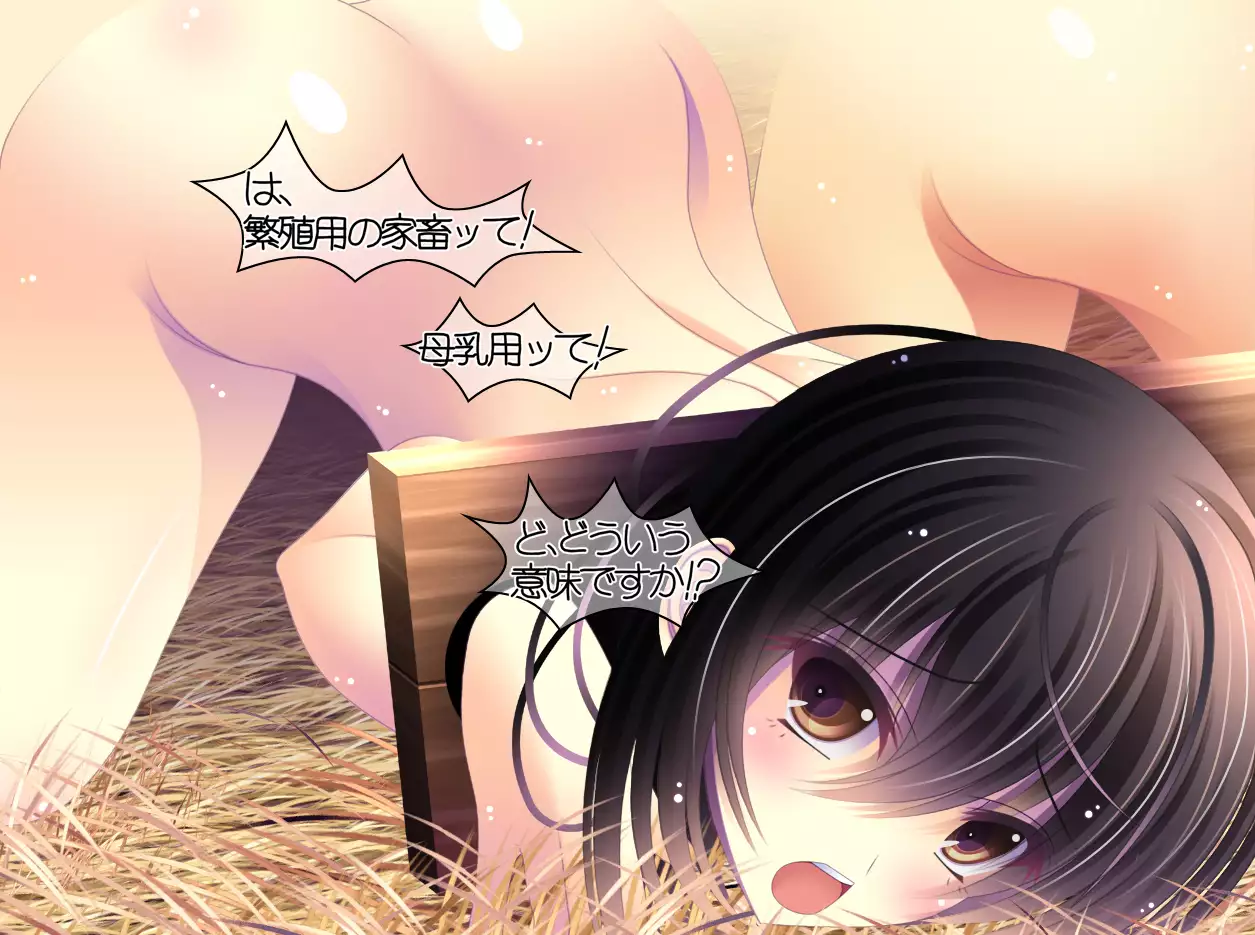 yabure, bakunyu chochichi naedoko ni, benki ni Daraku To sa reru hiroin!~ Hime ￮ setsuna ~