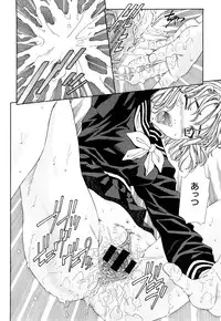 [Seto Yuuki] Stringendo