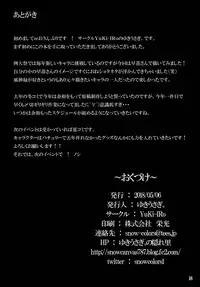 (Reitaisai 15) [YuKi-IRo (Yukiusagi.)] Himegoto Jinja (Touhou Project) [English] [PerceptivePercival]