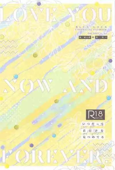 Itsu datte Kimi dake o Mitsumeteru - Love you now and forever.