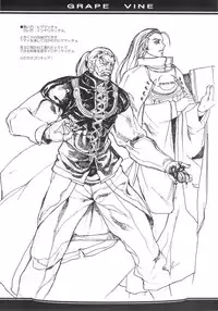 (C69) [OREZASHOW (Yatsuyaku Ashiya)] Grape Vine.