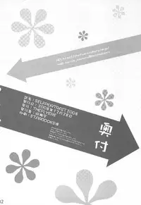 (C75) [THE FLYERS (Naruse Mamoru)] SELFPORTRAIT 2008