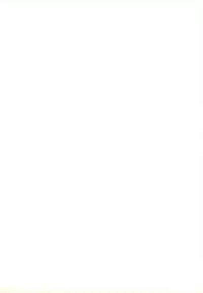 (C64) [Takaradamashii (Gorgeous Takarada)] Soratobu Orikou 7