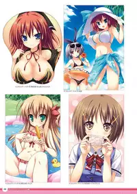 Zettai Series Visual Zenshuu (Complete Collection)