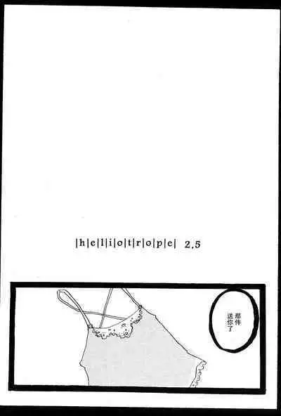 Heliotrope |日光菊