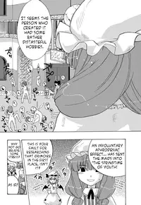 (C75) [Yuki Kagerou (KANZUME)] EraKatta ne! Fran-chan! (Touhou Project) [English] [Troika]