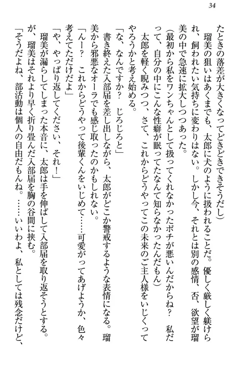 Boku to Ruu Senpai no Houkago Choukyou Nisshi - Kyou mo Watashi o Shitsukenasai!