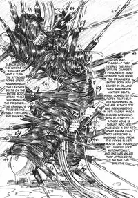 (C68) [Sumomo Dou (Sumomo EX)] Vivian Bessatsu. 29 Hime-sama to Goumonheya Futanari Version | Bibian Anbetsu 29 The Princess And The Torture Chamber [English] [J99814]