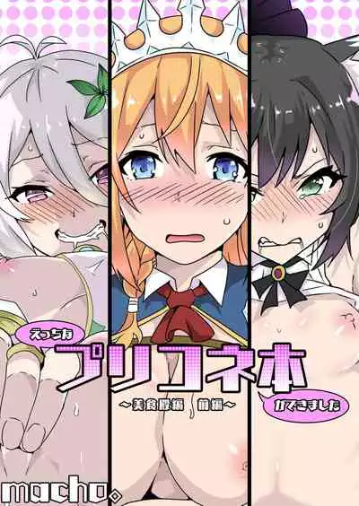 [Macho.] Ecchi na PriConne Bon ga Dekimashita ~Bishokuden Hen Zenpen~ (Princess Connect! Re:Dive) [English]