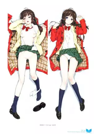 八宝備仁画集 紅蝶(ほてり)