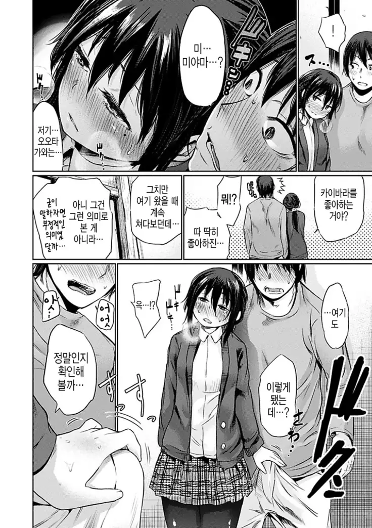 Yoihajime | 저녁의 시작