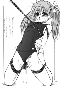 (CR36) [Thirty Saver Street 2D Shooting (Maki Hideto, Sawara Kazumitsu)] Second Hobaku Project (Neon Genesis Evangelion) [Digital]