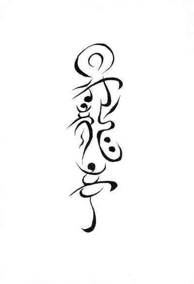 Re: Shoryutei Light 2