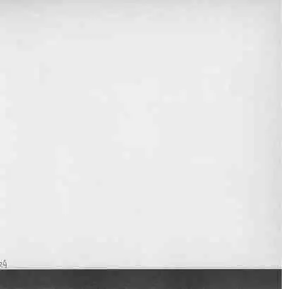 深い森の影から