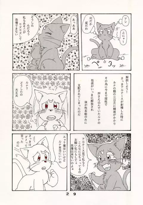 だって猫なんだモン!