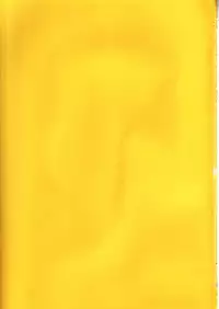 [Dennou Denpa Hatsureisho] Tiger Tron - Drunkar of Tiger (Fate/Stay Night)