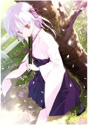 八宝備仁画集 紅蝶(ほてり)