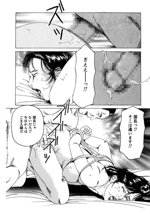 Nyohan ~Hitozuma Ryoujoku Rape Shuu~ Tsunoame Kazuya Gekigasen