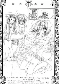 (SC8) [KOTORIKAN (MOKAMOKA)] NEKONEKO TAIKAI2 (Cardcaptor Sakura)