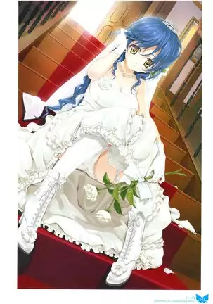 八宝備仁画集 紅蝶(ほてり)