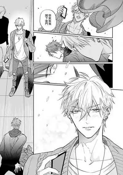 Burlesque Night | 艳舞荒诞夜