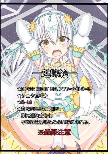 "Hanazono no Seiya" Shirotaegiku