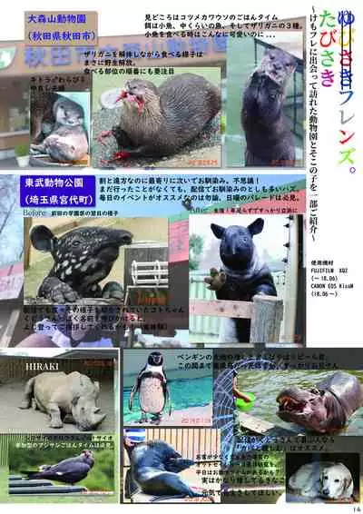 may Kemono Friends Thre Goudoushi 2