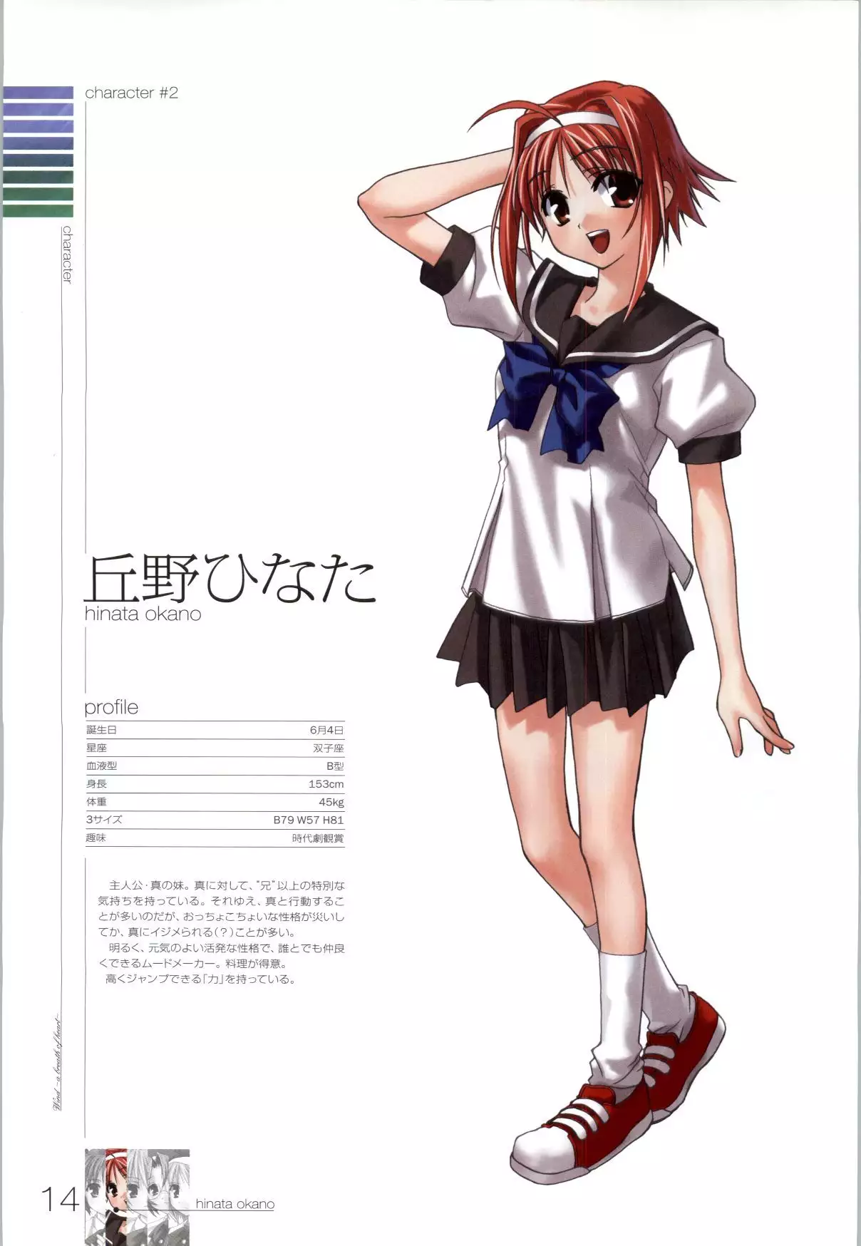 Wind - a breath of heart - Visual Fan Book 1&2