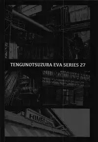 (C91) [Tengu no Tsuzura (Kuro Tengu)] Misuse (Neon Genesis Evangelion)