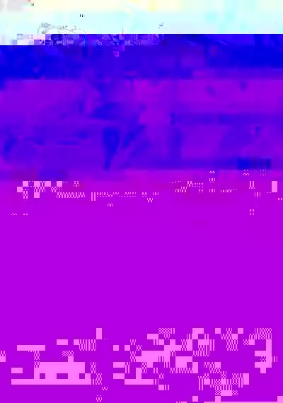 WIREFRAME RECOLLECTION 2