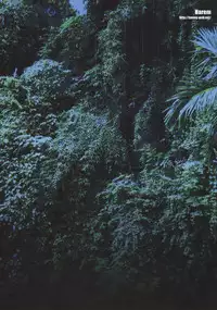 (C74) [Harem (Mizuki Honey)] Hunter-chan Dai Pinchi!! (Monster Hunter) [ENG]