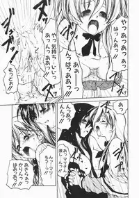 [Benjamin] Stray Sheep