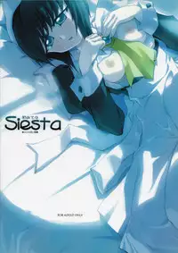 (C71) [FLAT & SLIT RACING 66 (Mu Mu Munou)] Hajimete no Siesta (Zero no Tsukaima)