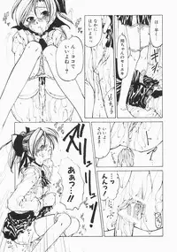 [Benjamin] Stray Sheep