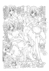 [Mitsu Neko Tei] Mitsu Neko Tei Honey Cat Room