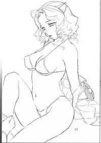 (C61)[Soreya (Nishitsuki Tsutomu)] Cat Parade (Gunparade March)