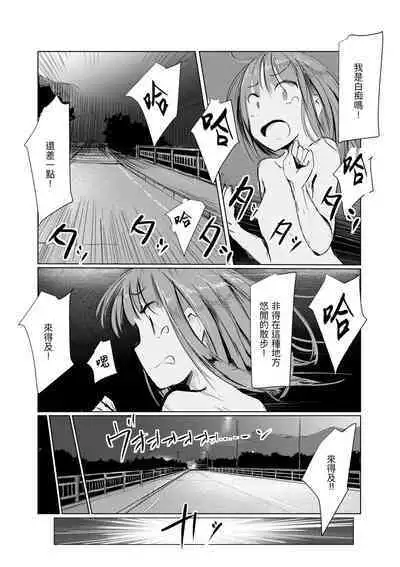 Shoujo to Haikousya Ⅱ 【Chinese】