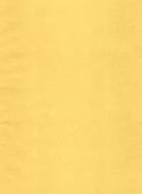 [如雲堂 (Araizumi Rui)] UP