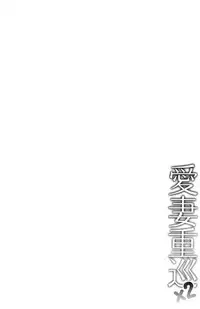 (C89) [Kanden Shoujo Chuuihou (Mafuyu)] Aisai Juujun×2 (Kantai Collection -KanColle-) [Chinese] [脸肿汉化组]