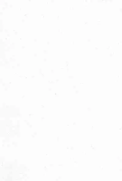 Re: Shoryutei Light 2